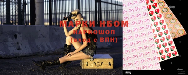 шишки Алзамай