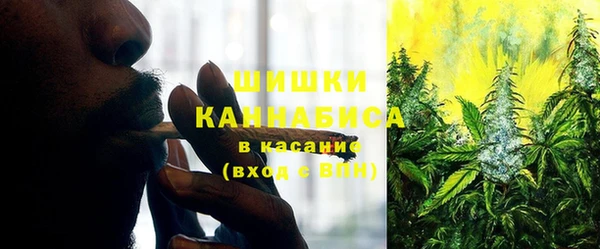 шишки Алзамай